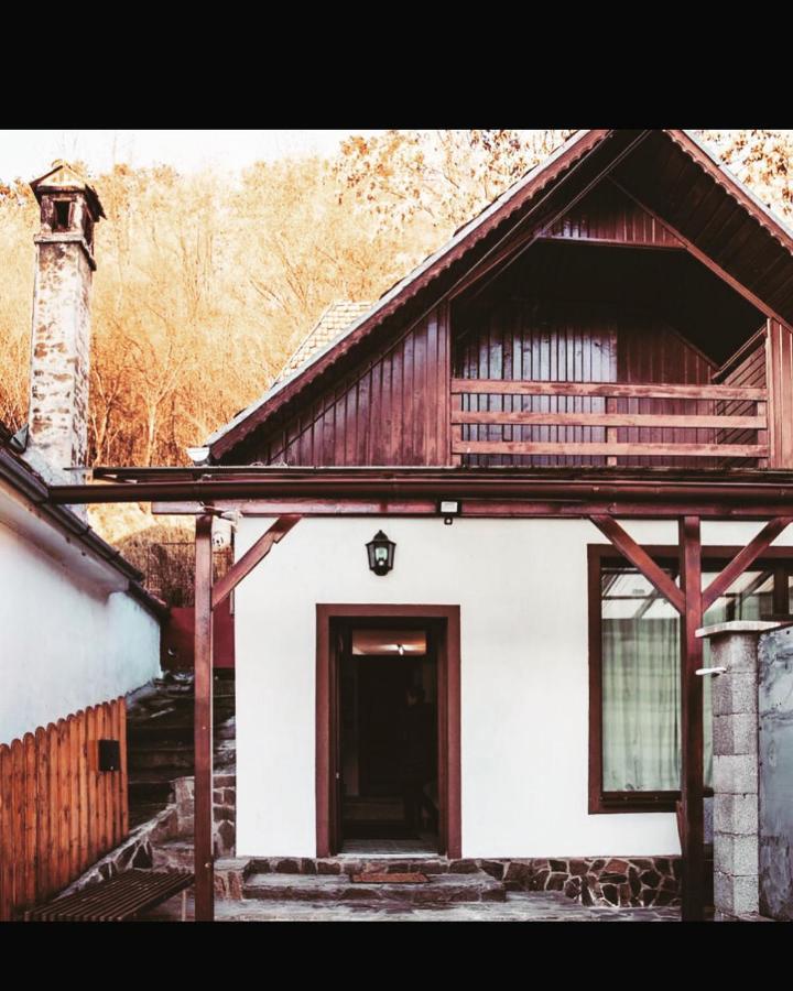 Sedra House Villa Sighişoara Eksteriør bilde